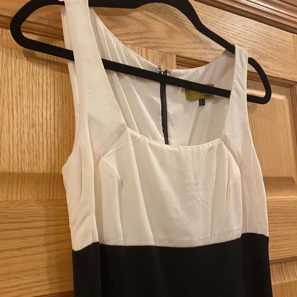 Nicolle Miller Two-Tones Dress - Picture 4 of 12